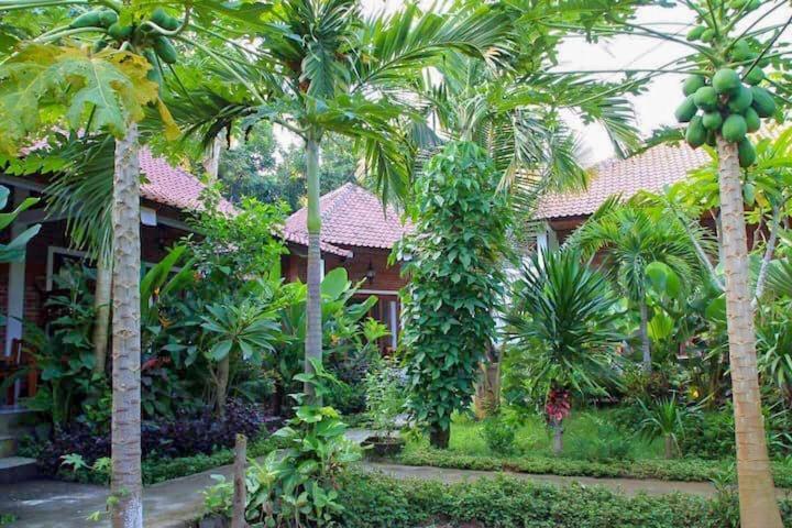 Enak Bungalow 아메드 외부 사진